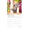 I Love Cats | 2026 12 x 24 Inch (Hanging) Monthly Square Wall Calendar | Foil Stamped Cover